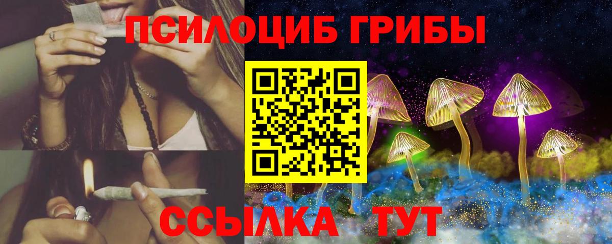 Галлюциногенные грибы Psilocybe Томск